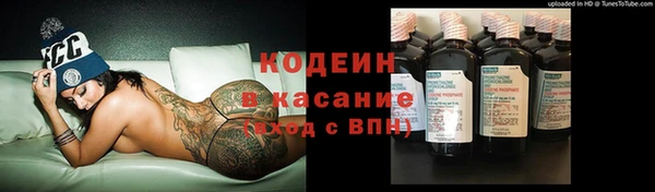 гашик Абаза