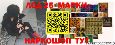 винт Будённовск