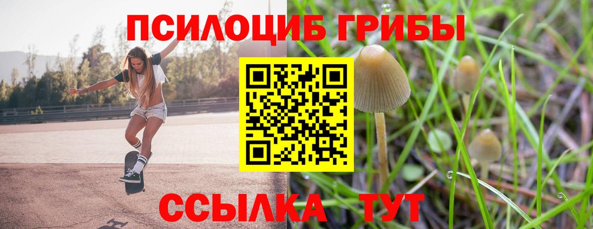 Галлюциногенные грибы MAGIC MUSHROOMS  Псилоцибиновые грибы Psilocybe  Кизляр  Вход с VPN 