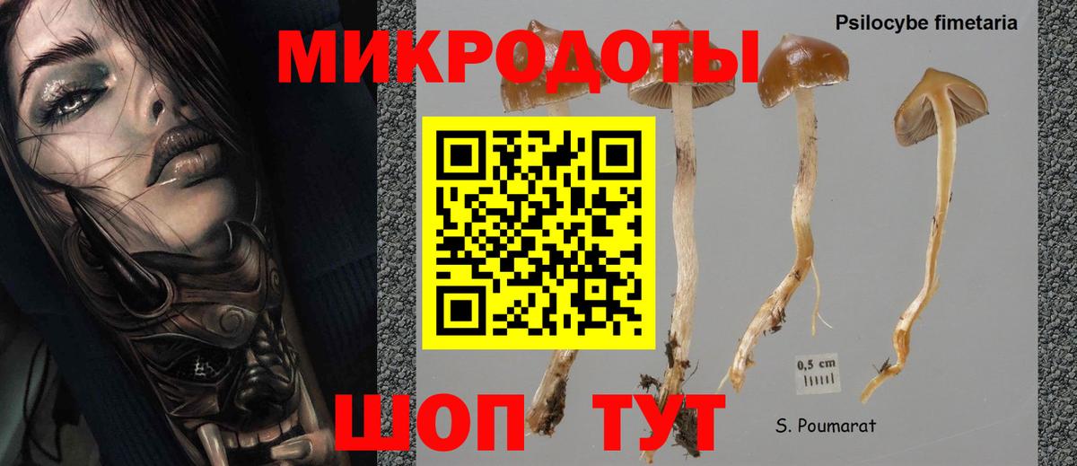 Галлюциногенные грибы мицелий Кизляр